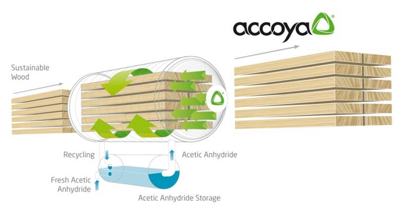 Accoya sustainable wood diagram
