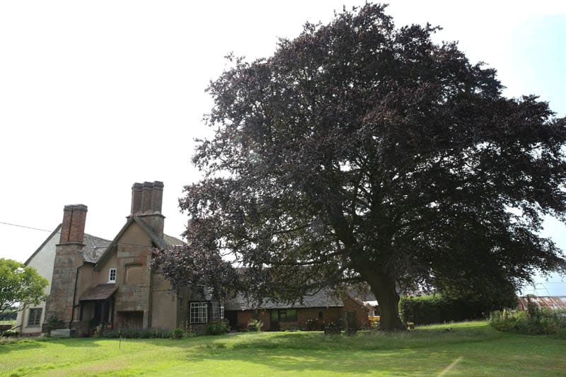 A wide shot of the rear of colliers oak farm showing the farmhouse and garden