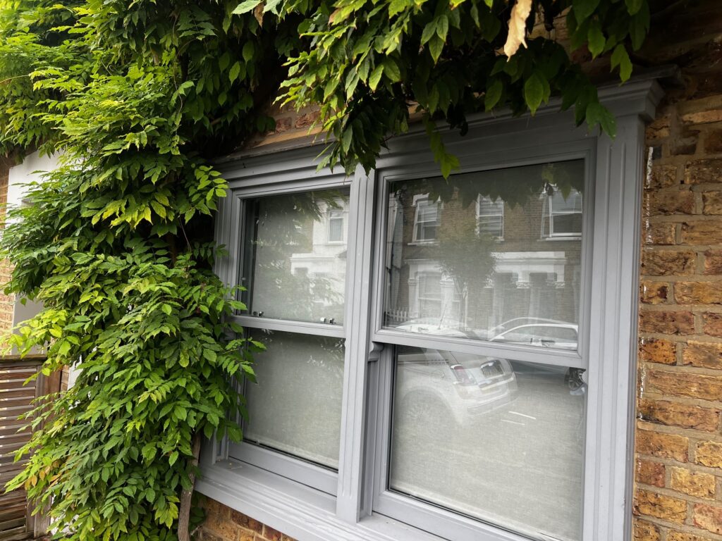 A close-up of grey-painted hardwood sliding sash windows installed by Gowercroft Joinery, framed by lush green foliage growing around the window. The reflection of neighbouring properties is visible in the glass, and the brickwork of the house contrasts with the greenery and the window frame. These windows have been installed for 12 years and retain their original finish.